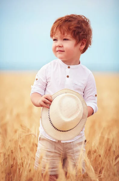Милая Рыжая Двухлетний Мальчик Идет Полю Спелой Пшеницы — стоковое фото