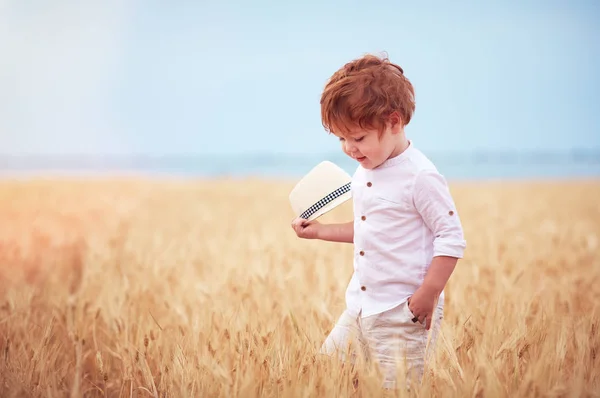 Cute Redhead Two Years Old Baby Boy Walking Field Ripe — Stock Photo, Image