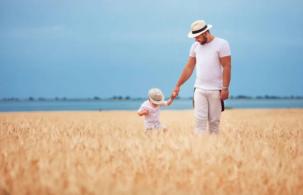 Happy Father Toddler Son Walking Ripe Wheat Field — Stock Fotó
