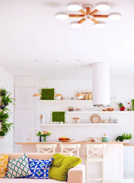 Bright interior of living room with kitchen island, sofa, and wall shelves — Stock Photo, Image