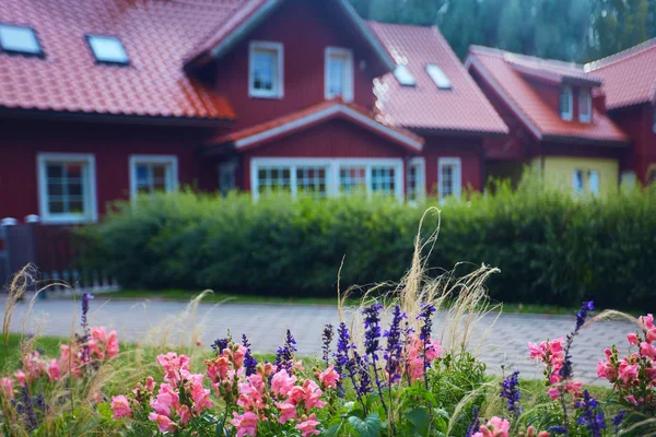 Büyük malikane önünde sevimli pembe ve mor çiçekler — Stok fotoğraf