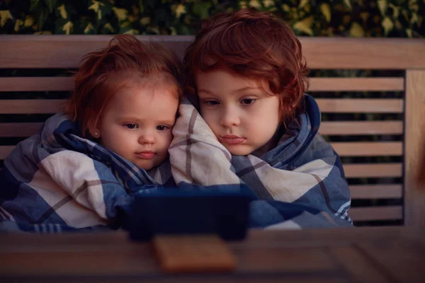 Lindos Hermanos Pequeños Cubiertos Manta Viendo Dibujos Animados Teléfono Noche —  Fotos de Stock