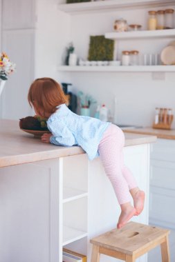 curious infant baby girl climbing up the step stool, trying to reach things on the table in the kitchen clipart