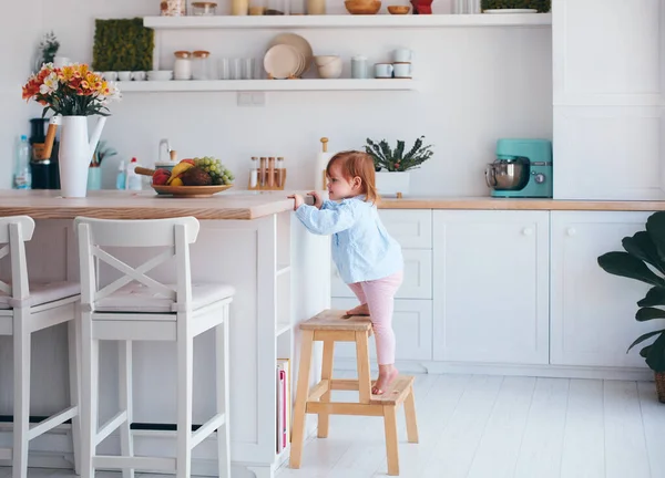 好奇的女婴试图在凳子的帮助下到达厨房桌子上的东西 — 图库照片