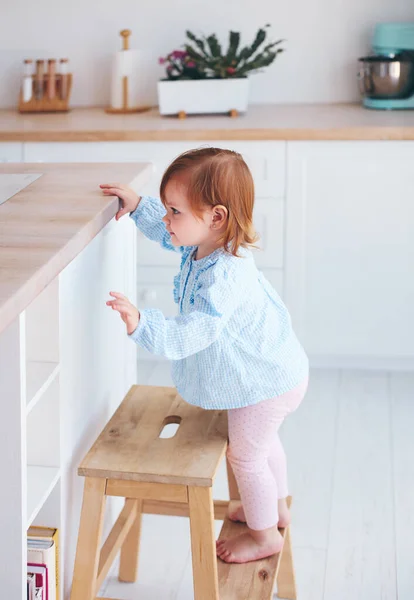 Menina Bebê Infantil Curioso Tentando Alcançar Coisas Mesa Cozinha Com — Fotografia de Stock