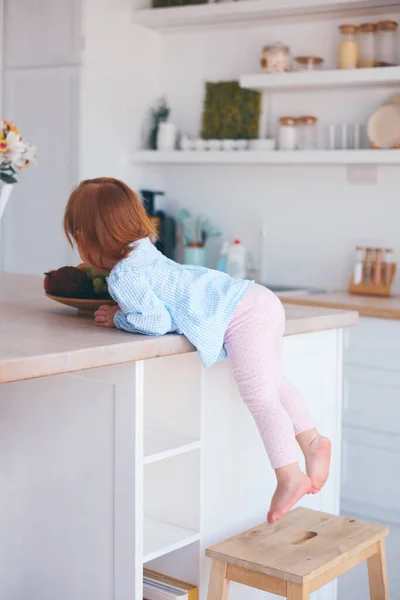 興味津々の幼児の女の子は台所のテーブルの上の物に手を伸ばそうとして — ストック写真