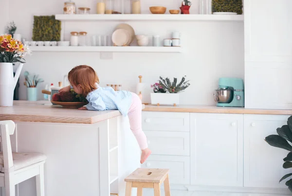 好奇的女婴试图在凳子的帮助下到达厨房桌上的水果 — 图库照片
