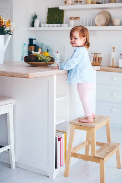 可爱的女婴站在舒适的厨房里的台阶凳子上 — 图库照片