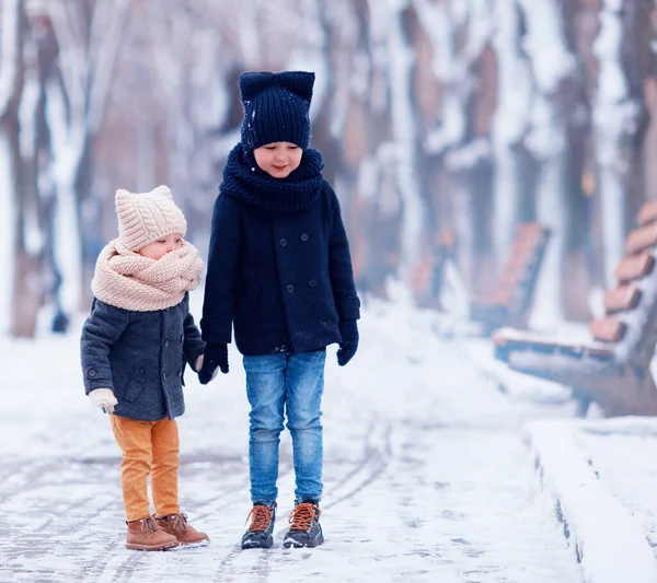 Mignons Enfants Frères Marchant Ensemble Dans Parc Hiver — Photo