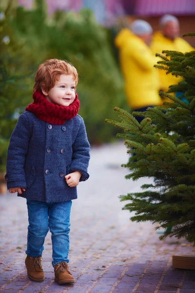 Leende Rödhårig Pojke Går Bland Träden Julmarknad — Stockfoto