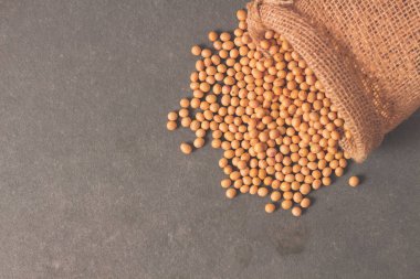 Gri arka plan üzerinde rustik kumaş çanta taze bir ham soya fasulyesi .