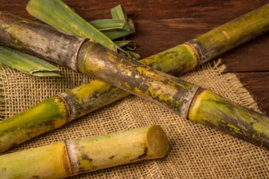 Cachaca, Brezilya 'da şeker kamışı ile yapılan tipik bir alkollü içeceğin adıdır. Brezilya 'dan geleneksel bir içecek..