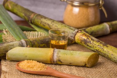 Cachaca, Brezilya 'da şeker kamışı ile yapılan tipik bir alkollü içeceğin adıdır. Brezilya 'dan geleneksel bir içecek..