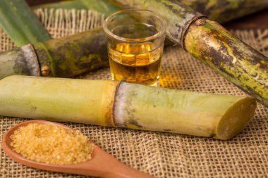 Cachaca, Brezilya 'da şeker kamışı ile yapılan tipik bir alkollü içeceğin adıdır. Brezilya 'dan geleneksel bir içecek..