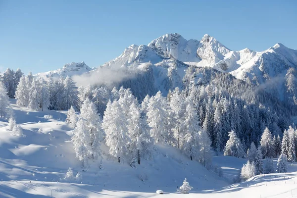 Beautiful Winter Outdoor Scene Snowy Alps Stock Image