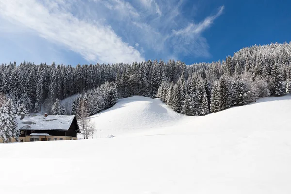 Kış dağlarda. Avusturya Alplerinde