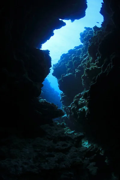 Underwater Valley Great Barrier Reef Australia — Stock Photo, Image