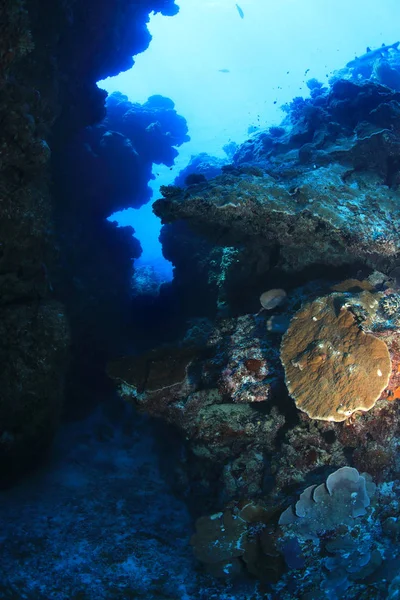 澳大利亚大堡礁的水下峡谷 — 图库照片