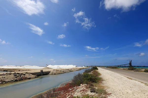 Zbieranie soli morskiej na wyspie Bonaire — Zdjęcie stockowe