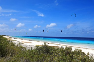 Kite boarding on Bonaire island
