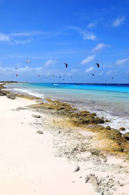 Bonaire adasında uçurtma.