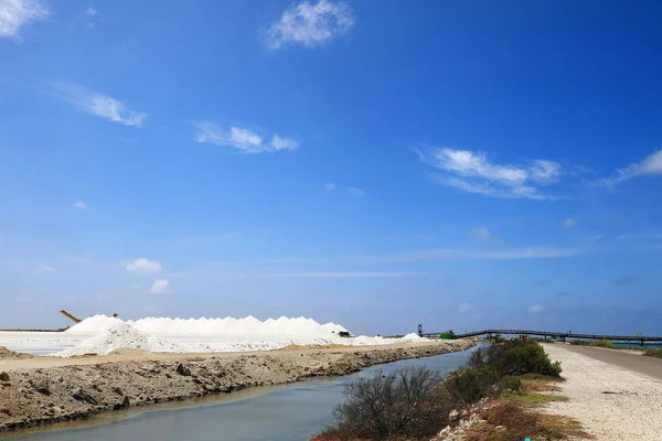 Bonaire adasında deniz tuzu hasadı. — Stok fotoğraf