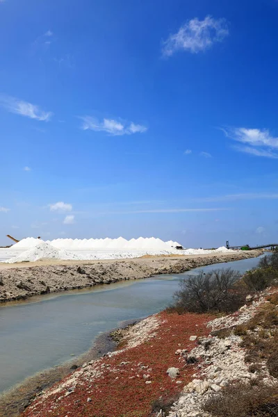 Zeezout oogsten op Bonaire eiland — Stockfoto
