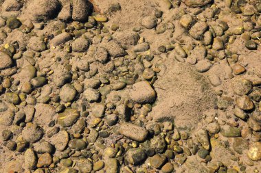 İsviçre Sihl nehrinin dibindeki taşlar. 