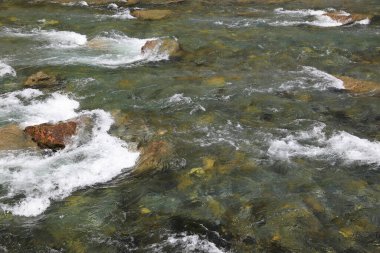 İsviçre 'deki Muota Vadisi' nde temiz suyu olan Muota nehri. 