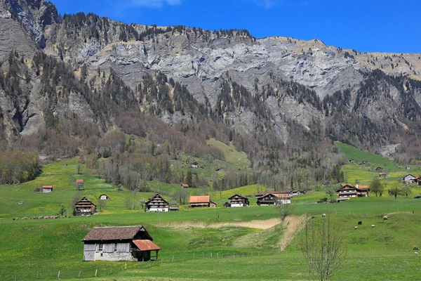 Zona Agricola Della Valle Del Muota Nel Cantone Schwyz Svizzera — Foto Stock