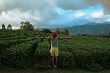 Genç backpacker çay alanlarına seyahat