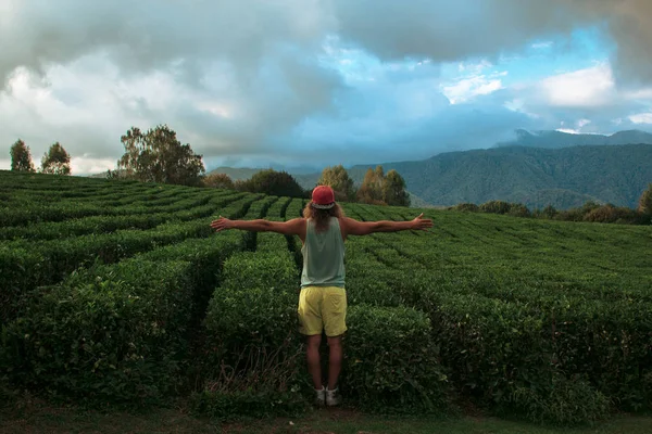 Genç Backpacker Çay Alanlarına Seyahat — Stok fotoğraf