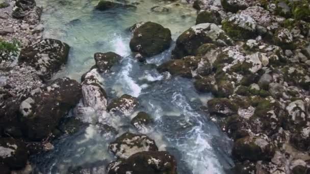 在阿布哈兹的高加索山的蓝色水的山区河 — 图库视频影像