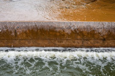 Taş döşeme su özelliği Bahçe Kraliyet Botanik Bahçeleri Victoria