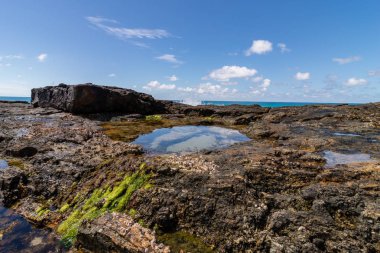Rock havuzları Moreton Adası'Queensland