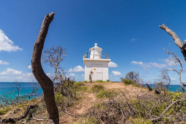 Der Leuchtturm Auf Der Moreton Insel Königsland Stockbild