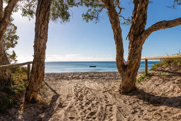 Beach Camping Moreton Island Queensland Royaltyfria Stockbilder