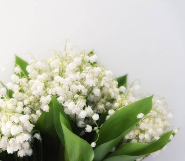 Buket bahar lilyum vadi.