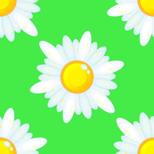 Summer seamless pattern with chamomile flowers. — Stock Vector