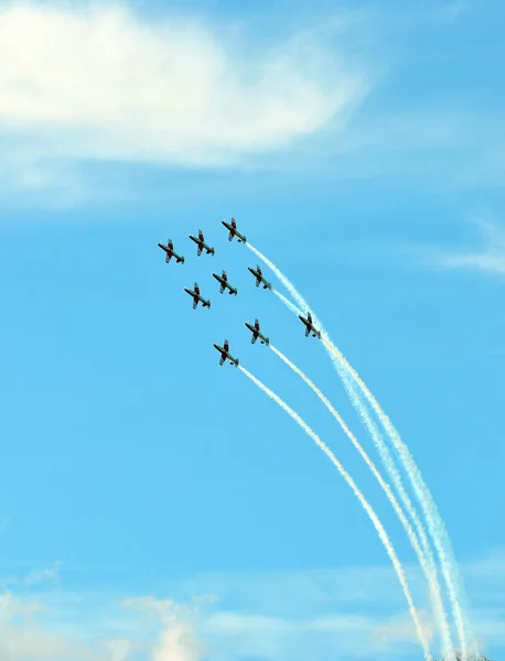 Sion Suiza Septiembre 2017 Breitling Jet Team Breitling Air Show —  Fotos de Stock