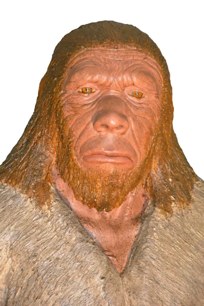 Homem Neandertal Com Cabelo Loiro Característico Pele Pálida — Fotografia de Stock
