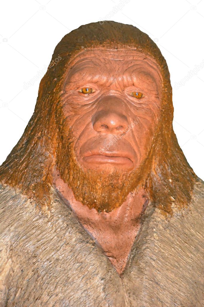Neanderthal man with characteristic blond hair and pale skin