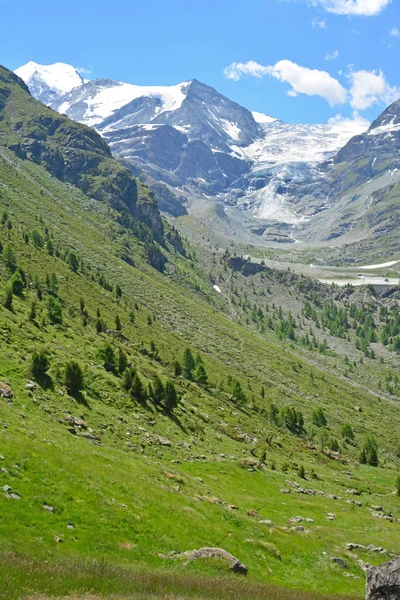 Bishorn Och Turtmann Glaciären Huvudet Turtmann Valley Södra Alperna — Stockfoto