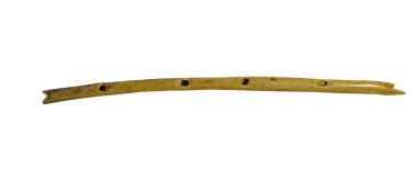 Ice Age flute carved from vultures wing bone clipart