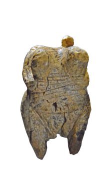 Картина, постер, плакат, фотообои "венера из фельса - древнейшее бесспорное изображение человека, датируемое 40 тысячами лет назад
", артикул 217700376