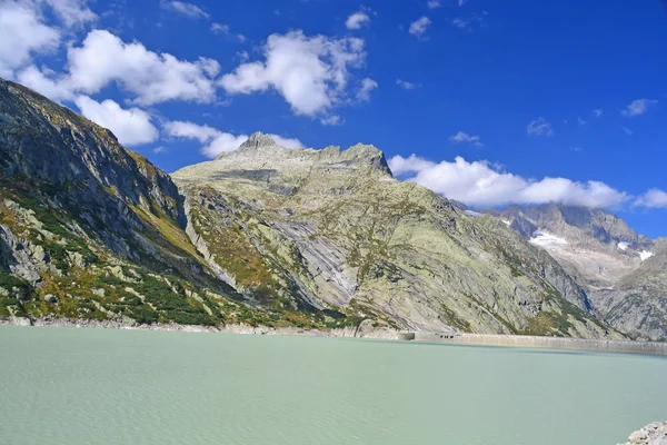 Alplistock Över Raterichsbodensee Strax Nedanför Grimsel Pass Centrala Schweiz — Stockfoto
