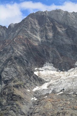 Schinhorn