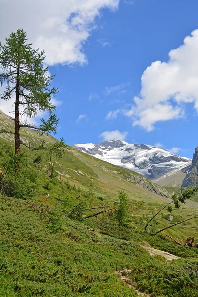 Breithorn i Bernese Alperna — Stockfoto
