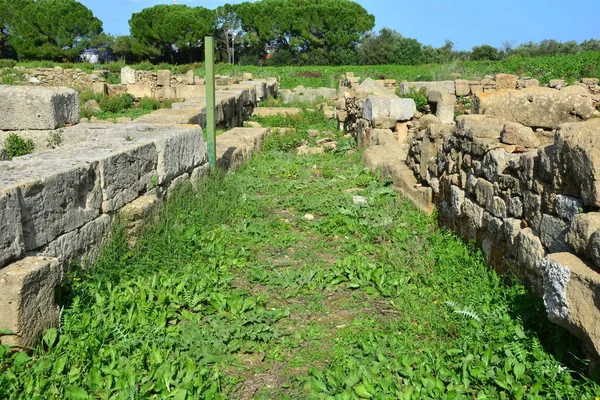 Centrum Ruin Starożytnej Greckiej Kolonii Megara Hyblaea Wschodniej Sycylii Datowany — Zdjęcie stockowe
