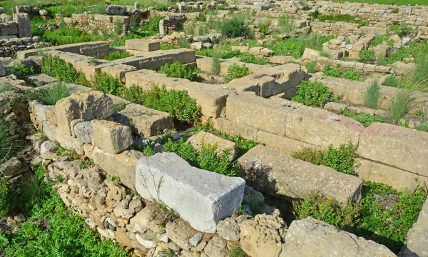 西西里西亚东部的古代希腊殖民地Megara Hyblaea的废墟中心 距今约2700年前 — 图库照片